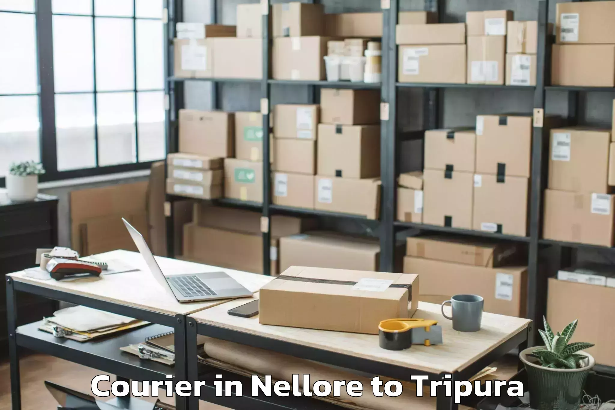 Easy Nellore to Amarpur Courier Booking